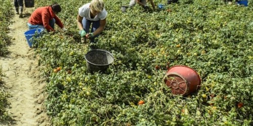 Il 18 ottobre sarò in Sicilia, per dire basta alla schiavitù