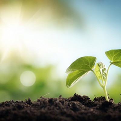 Nuova legge sull'agricoltura biologica, strumenti innovativi e nuove risorse per un settore in grande crescita