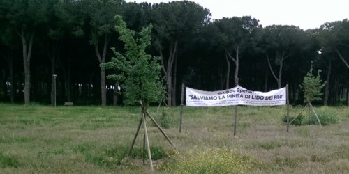 Anzio, aggressione al comitato “Salviamo la pineta”: presentata interrogazione parlamentare