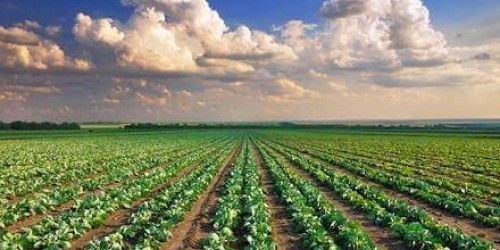 IMU su terreni agricoli, detrazioni importanti su 35 comuni della provincia